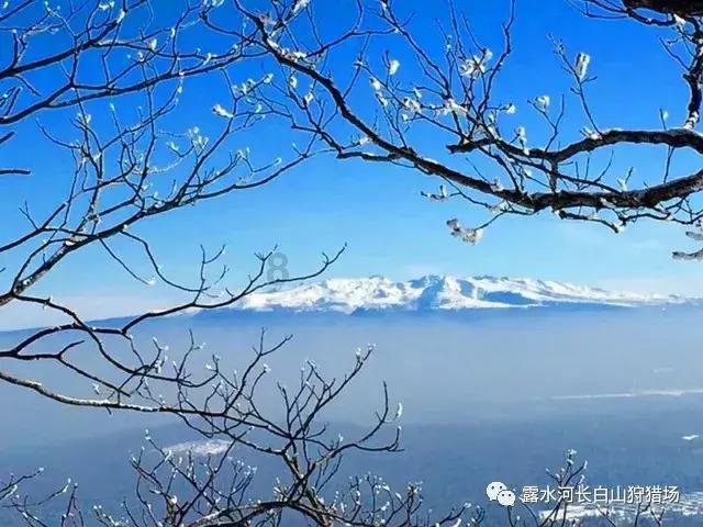 探索山中小屋