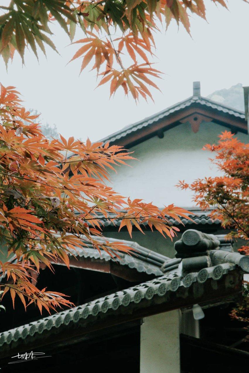 悟空降妖
