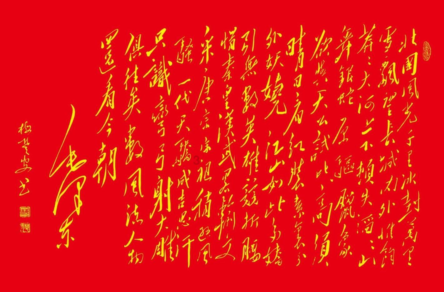 救援呆萌的猫