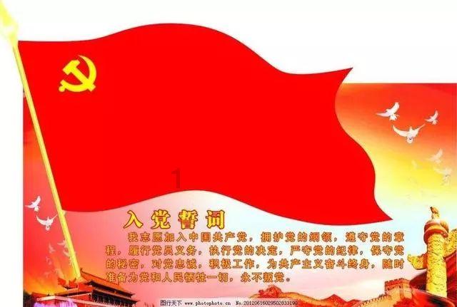 紫色系